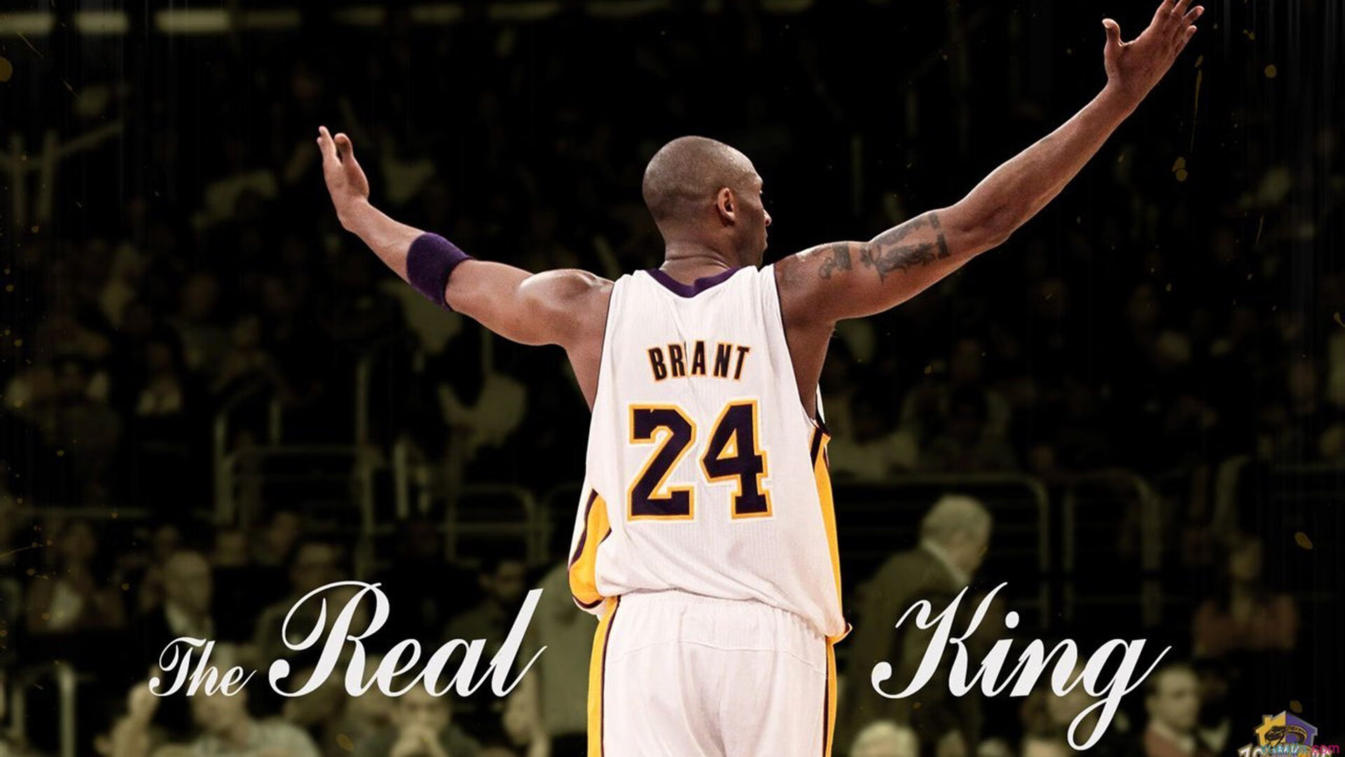 国际体育组织对比研究与借鉴建议，主要国际体育组织及其相互关系