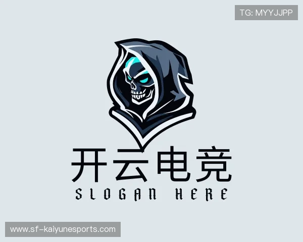 发现开云电竞官网